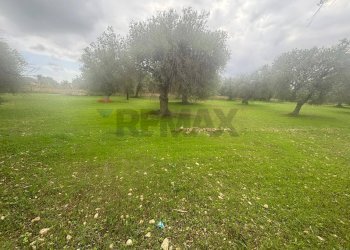 Giardino - Agricultural land VIA  BELFRONTE
 
4, Floridia - photo 8