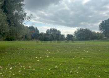 Giardino - Agricultural land VIA  BELFRONTE
 
4, Floridia - photo 10