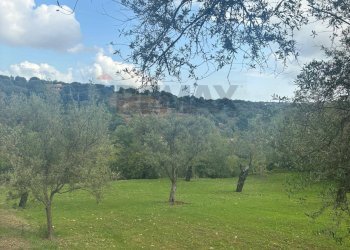 Vista delle montagne - Agricultural land VIA  BELFRONTE
 
4, Floridia - photo 12