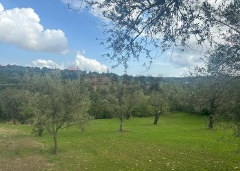 Vista delle montagne - Agricultural land VIA  BELFRONTE
 
4, Floridia - photo 14