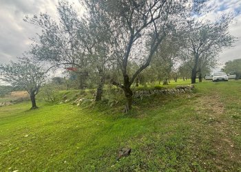 Giardino - Agricultural land VIA  BELFRONTE
 
4, Floridia - photo 15