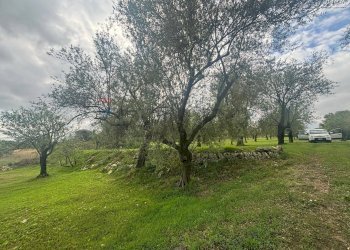 Giardino - Agricultural land VIA  BELFRONTE
 
4, Floridia - photo 16