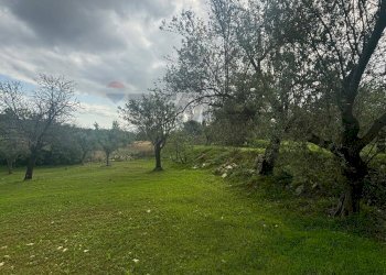 Giardino - Agricultural land VIA  BELFRONTE
 
4, Floridia - photo 17