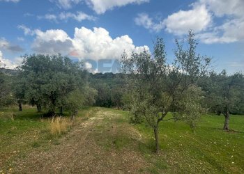 Vista delle montagne - Agricultural land VIA  BELFRONTE
 
4, Floridia - photo 18