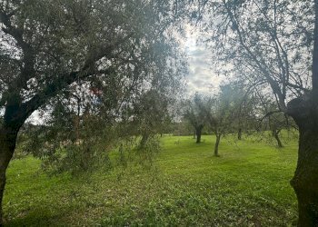 Giardino - Agricultural land VIA  BELFRONTE
 
4, Floridia - photo 19