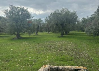 Giardino - Agricultural land VIA  BELFRONTE
 
4, Floridia - photo 20