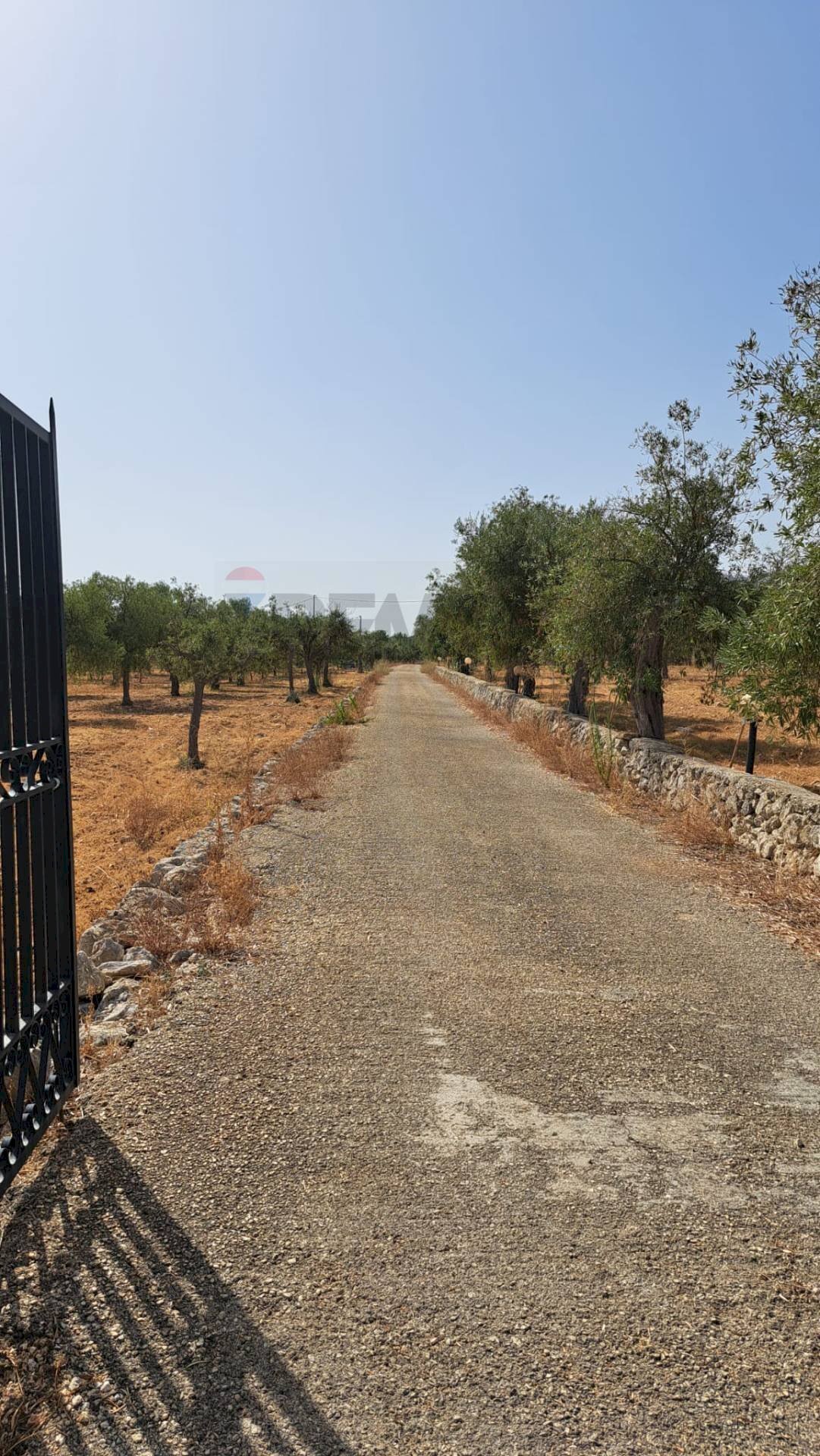 Non correlato - Terreno agricolo Contrada Sorciaro, Priolo Gargallo - foto 1