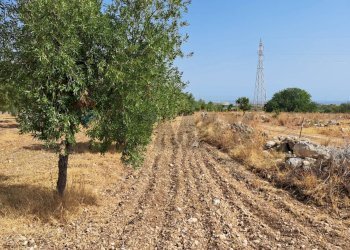 Vista delle montagne - Terreno agricolo Contrada Sorciaro, Priolo Gargallo - foto 3