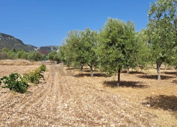 Vista delle montagne - Terreno agricolo Contrada Sorciaro, Priolo Gargallo - foto 5
