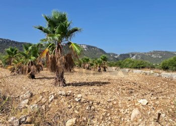 Vista delle montagne - Terreno agricolo Contrada Sorciaro, Priolo Gargallo - foto 8