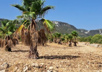 Vista delle montagne - Terreno agricolo Contrada Sorciaro, Priolo Gargallo - foto 10