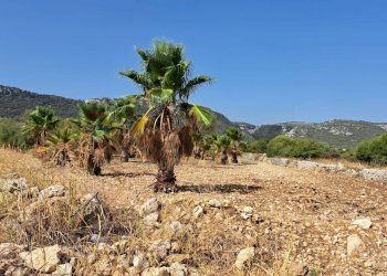 Vista delle montagne - Terreno agricolo Contrada Sorciaro, Priolo Gargallo - foto 11