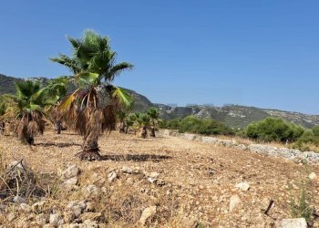 Vista delle montagne - Terreno agricolo Contrada Sorciaro, Priolo Gargallo - foto 12