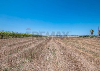Vista dell\'acqua - Terreno agricolo P3XJ+P7C Noto, Libero consorzio comunale di Siracusa, Noto - foto 5