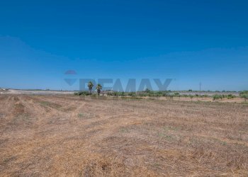 Vista delle montagne - Terreno agricolo P3XJ+P7C Noto, Libero consorzio comunale di Siracusa, Noto - foto 9
