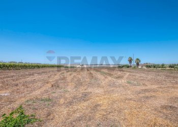 Vista delle montagne - Terreno agricolo P3XJ+P7C Noto, Libero consorzio comunale di Siracusa, Noto - foto 11