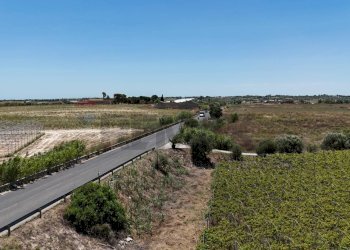 Edificio all\'aperto - Terreno agricolo P3XJ+P7C Noto, Libero consorzio comunale di Siracusa, Noto - foto 13