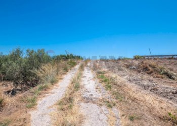 Vista delle montagne - Terreno agricolo P3XJ+P7C Noto, Libero consorzio comunale di Siracusa, Noto - foto 14