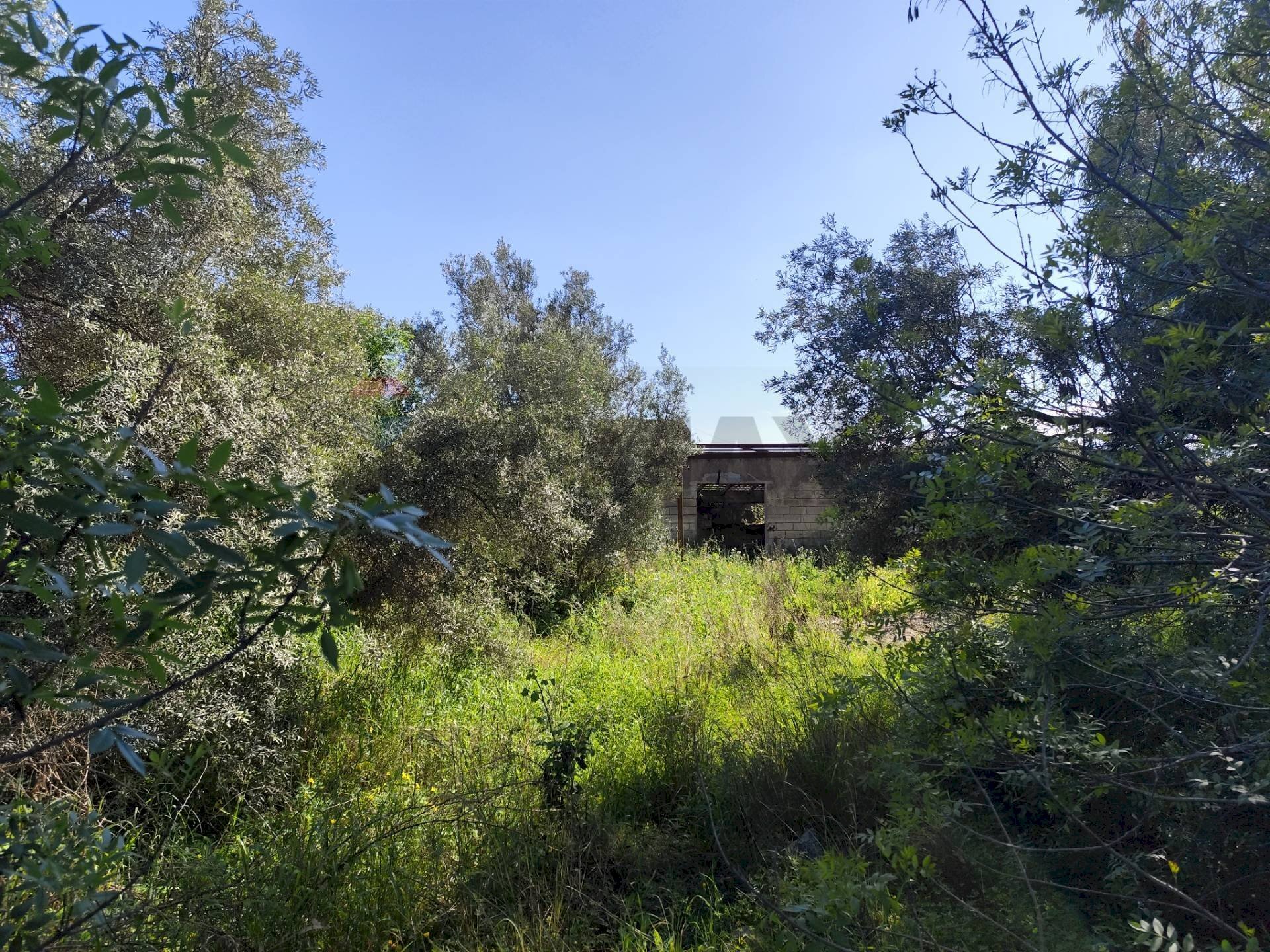 Giardino - Agricultural land viale pantanelli, Siracusa - photo 3