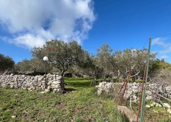 Giardino - Terreno agricolo Contrada Campanio, Ferla - foto 7