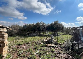 Giardino - Terreno agricolo Contrada Campanio, Ferla - foto 8