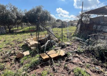 Giardino - Terreno agricolo Contrada Campanio, Ferla - foto 9