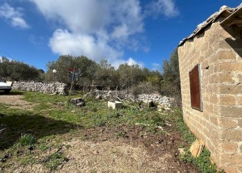 Giardino - Terreno agricolo Contrada Campanio, Ferla - foto 10