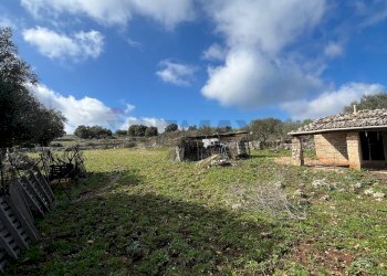 Giardino - Terreno agricolo Contrada Campanio, Ferla - foto 16