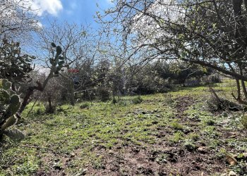 Giardino - Terreno agricolo Contrada Campanio, Ferla - foto 17