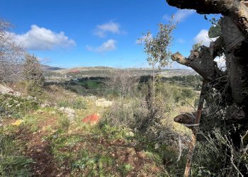 Vista delle montagne - Terreno agricolo Contrada Campanio, Ferla - foto 18