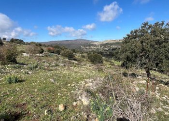 Vista delle montagne - Terreno agricolo Contrada Campanio, Ferla - foto 27