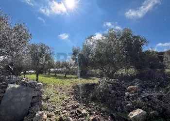 Giardino - Terreno agricolo Contrada Campanio, Ferla - foto 32