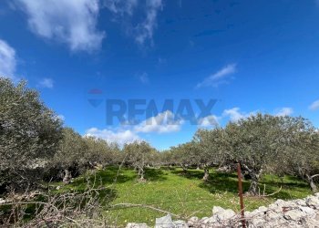 Giardino - Terreno agricolo Contrada Campanio, Ferla - foto 39