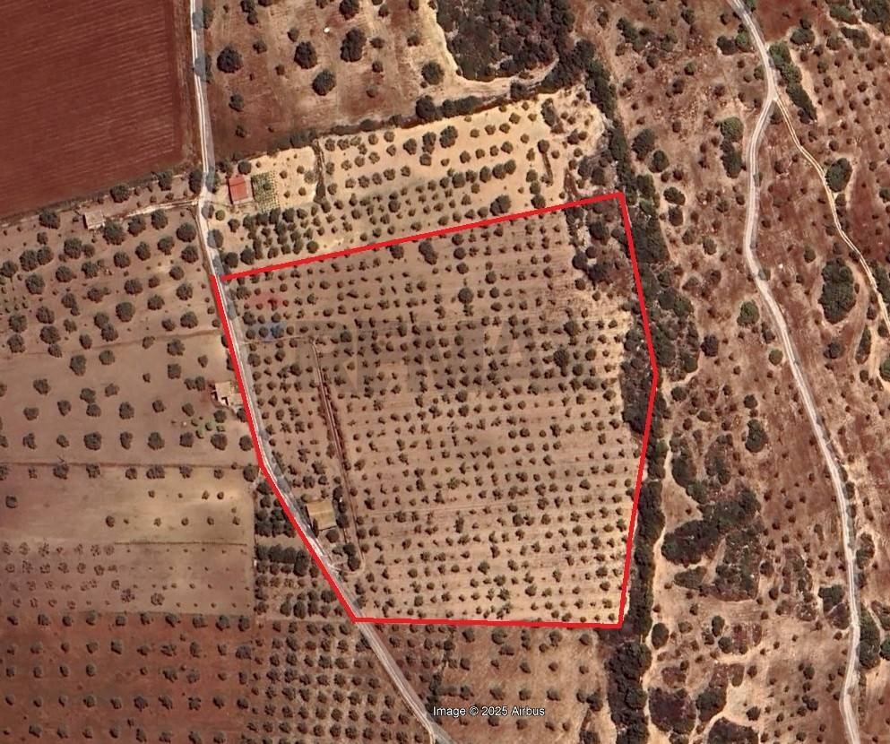 Posizione della mappa - Terreno agricolo Contrada Casale
 
snc, Noto - planimetria 1