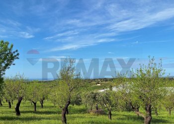 Giardino - Agricultural land Contrada Casale
 
snc, Noto - photo 5