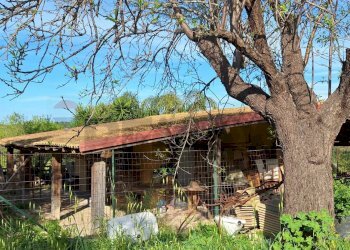 Casa all\'aperto - Agricultural land Contrada Casale
 
snc, Noto - photo 9