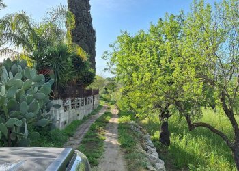 Giardino - Agricultural land Contrada Casale
 
snc, Noto - photo 13
