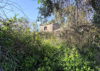 Giardino - Rustic viale pantanelli
 
3, Siracusa - photo 22