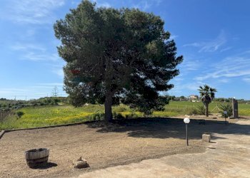 Giardino - Villa Contrada Triona Casalotto SP 85, Pachino - foto 33