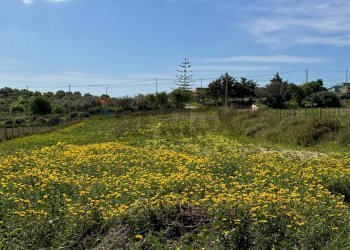 Giardino - Villa Contrada Triona Casalotto SP 85, Pachino - foto 40