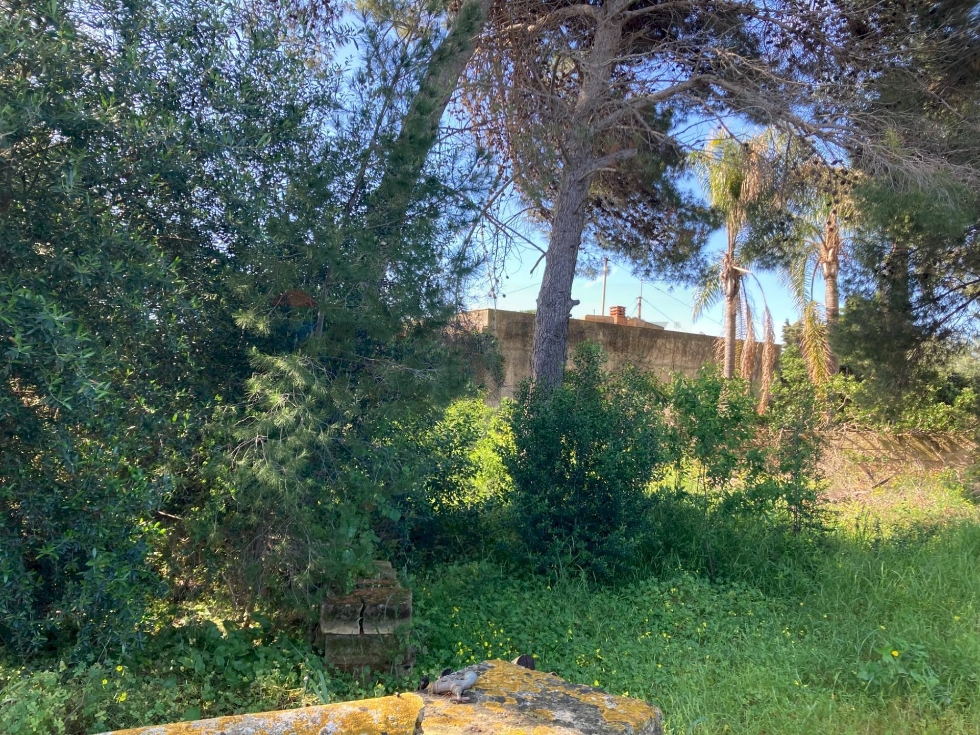 Giardino - Building land VIALE DEI LIDI, Siracusa - photo 3