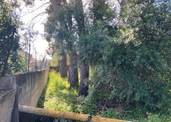 Giardino - Terreno edificabile VIALE DEI LIDI, Siracusa - foto 4