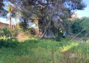 Giardino - Terreno edificabile VIALE DEI LIDI, Siracusa - foto 5