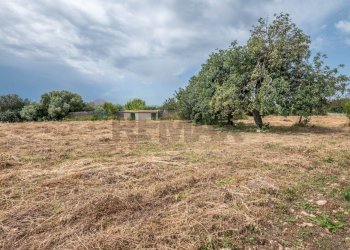 Giardino - Villa CONTRADA CUGNO LUPO, Canicattini Bagni - foto 17
