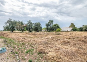 Giardino - Villa CONTRADA CUGNO LUPO, Canicattini Bagni - foto 24