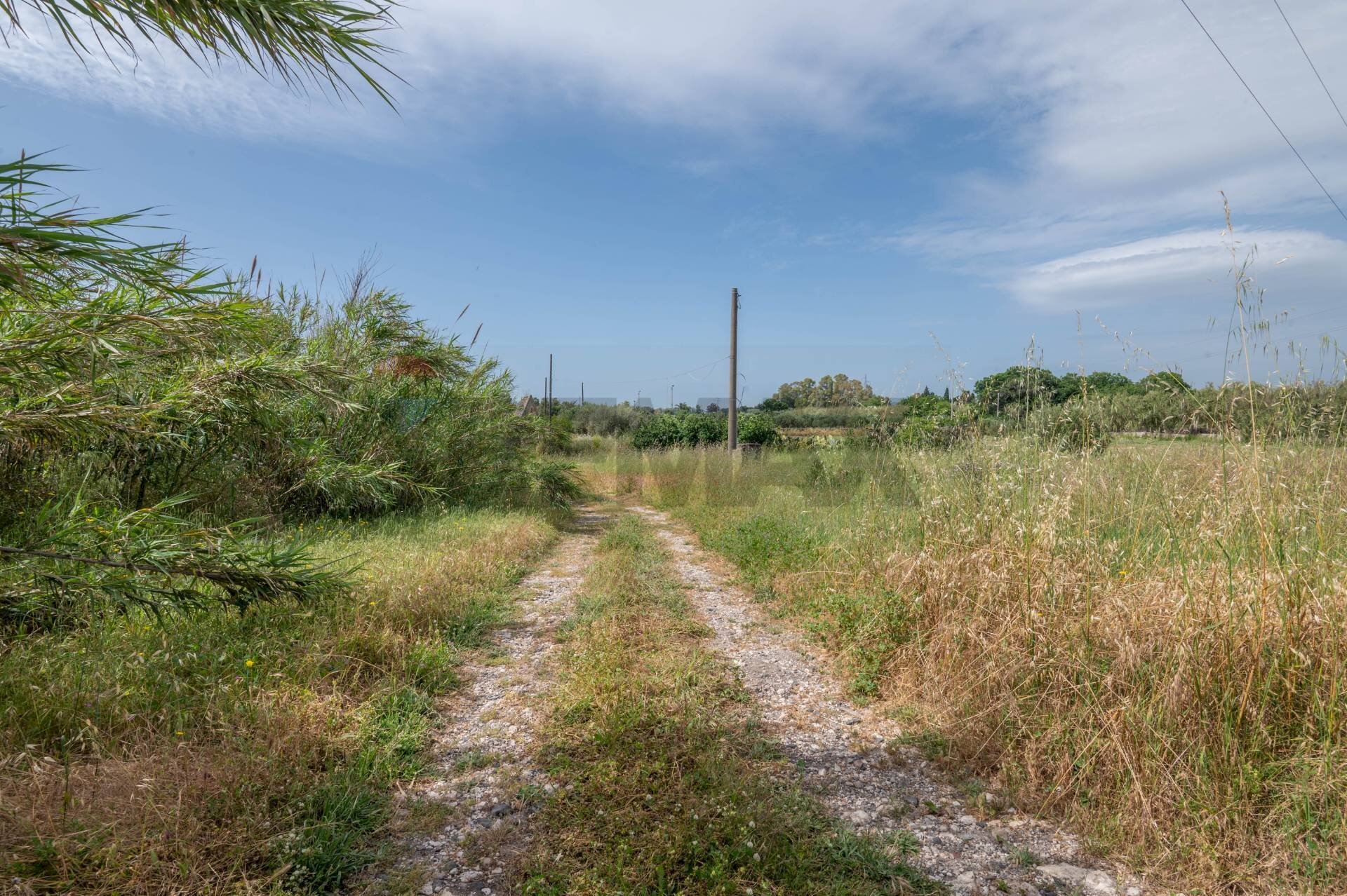 Giardino - Terreno edificabile VIA GIUSEPPE FARINA
1, Siracusa - foto 3