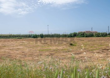 Giardino - Terreno edificabile VIA GIUSEPPE FARINA
1, Siracusa - foto 26