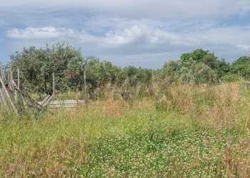 Non correlato - Terreno edificabile VIA GIUSEPPE FARINA
1, Siracusa - foto 11