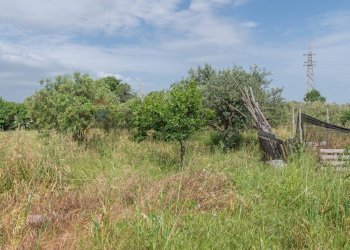 Giardino - Terreno edificabile VIA GIUSEPPE FARINA
1, Siracusa - foto 12