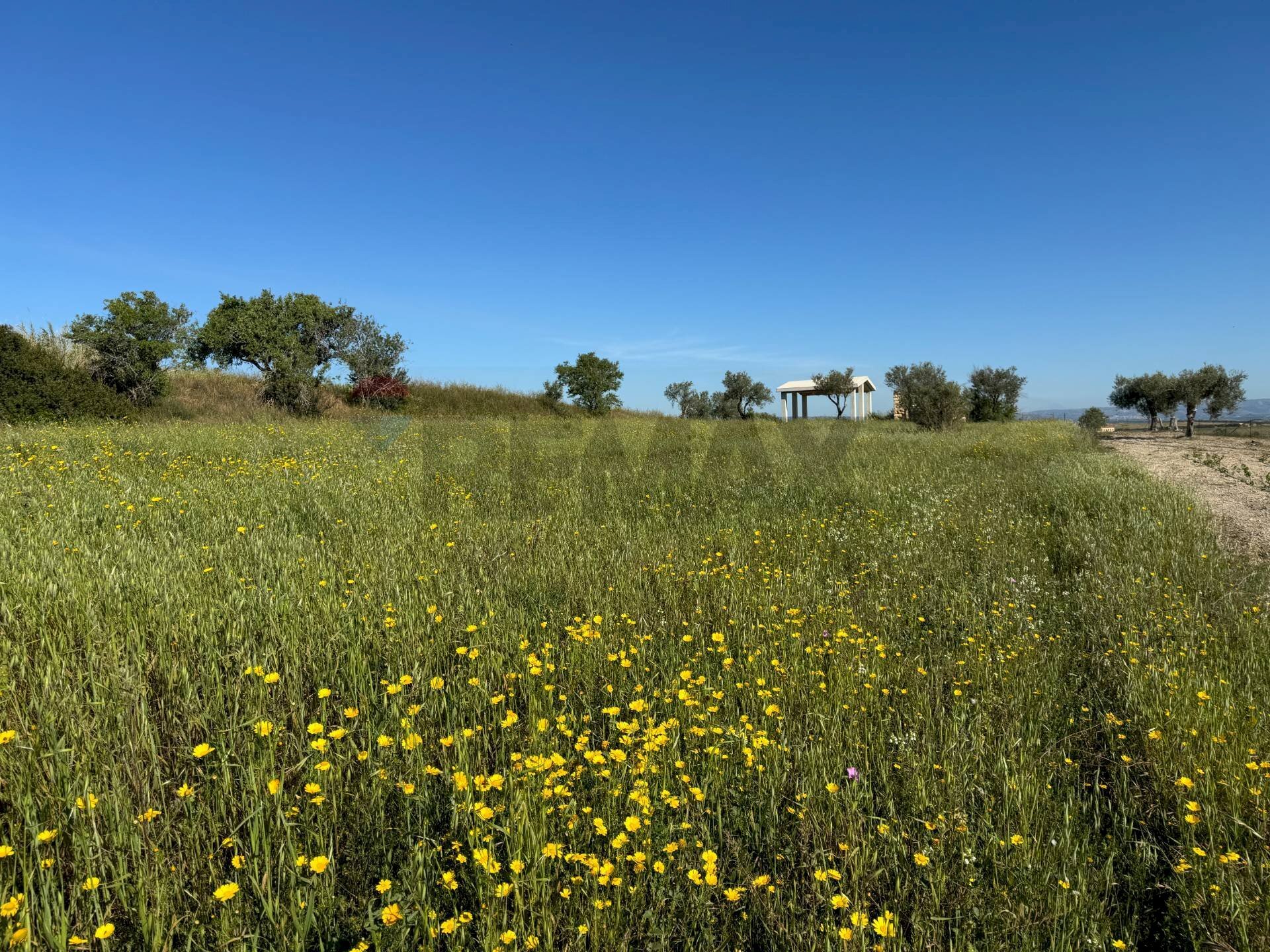 Giardino - Agricultural land Pachino - photo 1